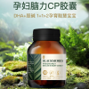 【澳洲仓】Blackmores 澳佳宝孕妇脑力CP胶囊海藻油DHA+胆碱补铁 50粒