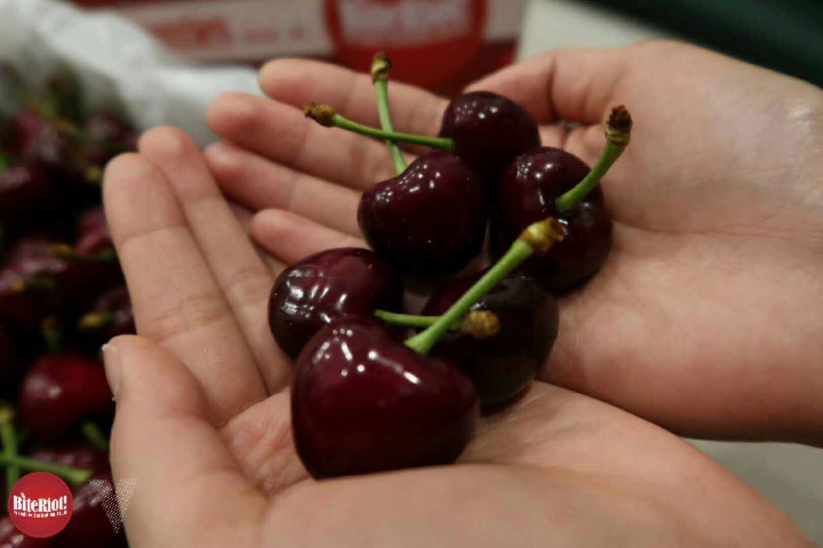 【中国仓】澳洲新南威尔士州 Bite Riot车厘子 2kg装  预计20号左右到货 排单发货 不接急单（ 偏远地区补运费：甘肃，青海，内蒙，宁夏，新疆，西藏，辽宁，吉林，黑龙江）