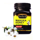 【澳洲仓】Honeylife澳蜂宝 麦卢卡蜂蜜 MGO30+ 500g 增强免疫