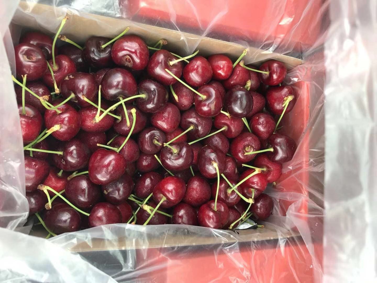 【中国仓】【预售】Cherries车厘子30-32mm 2KG/盒 悉尼时间每周四截单！每周五的下午5点至关门前取货（只支持悉尼自提）