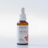【澳洲仓】Kosmea 有机认证玫瑰果油 Organic Rose Hip Oil 42ml