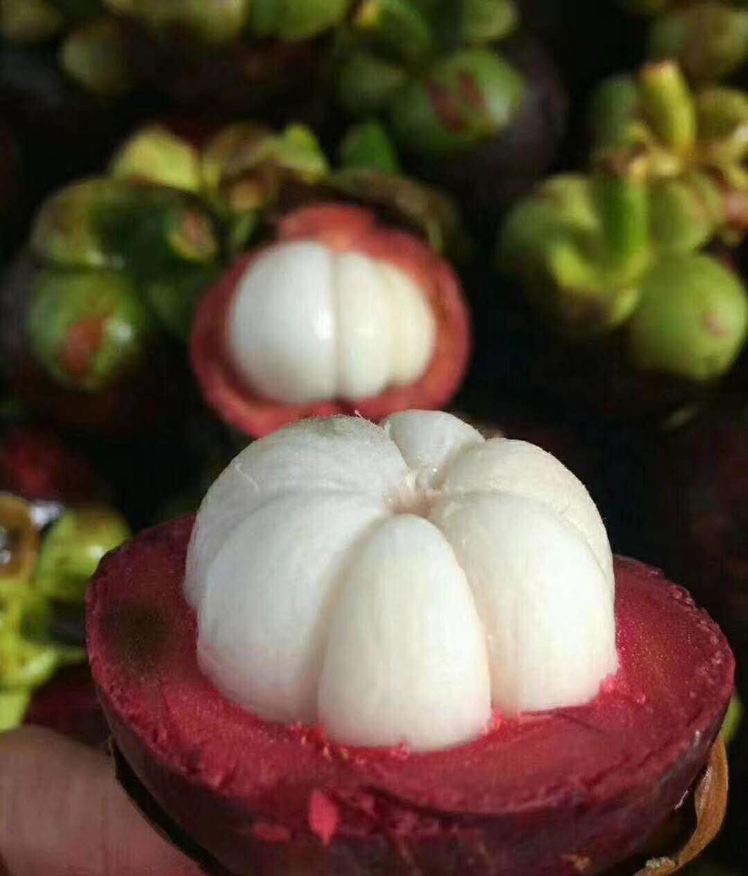 【中国仓】泰国山竹 4斤装 顺丰包邮