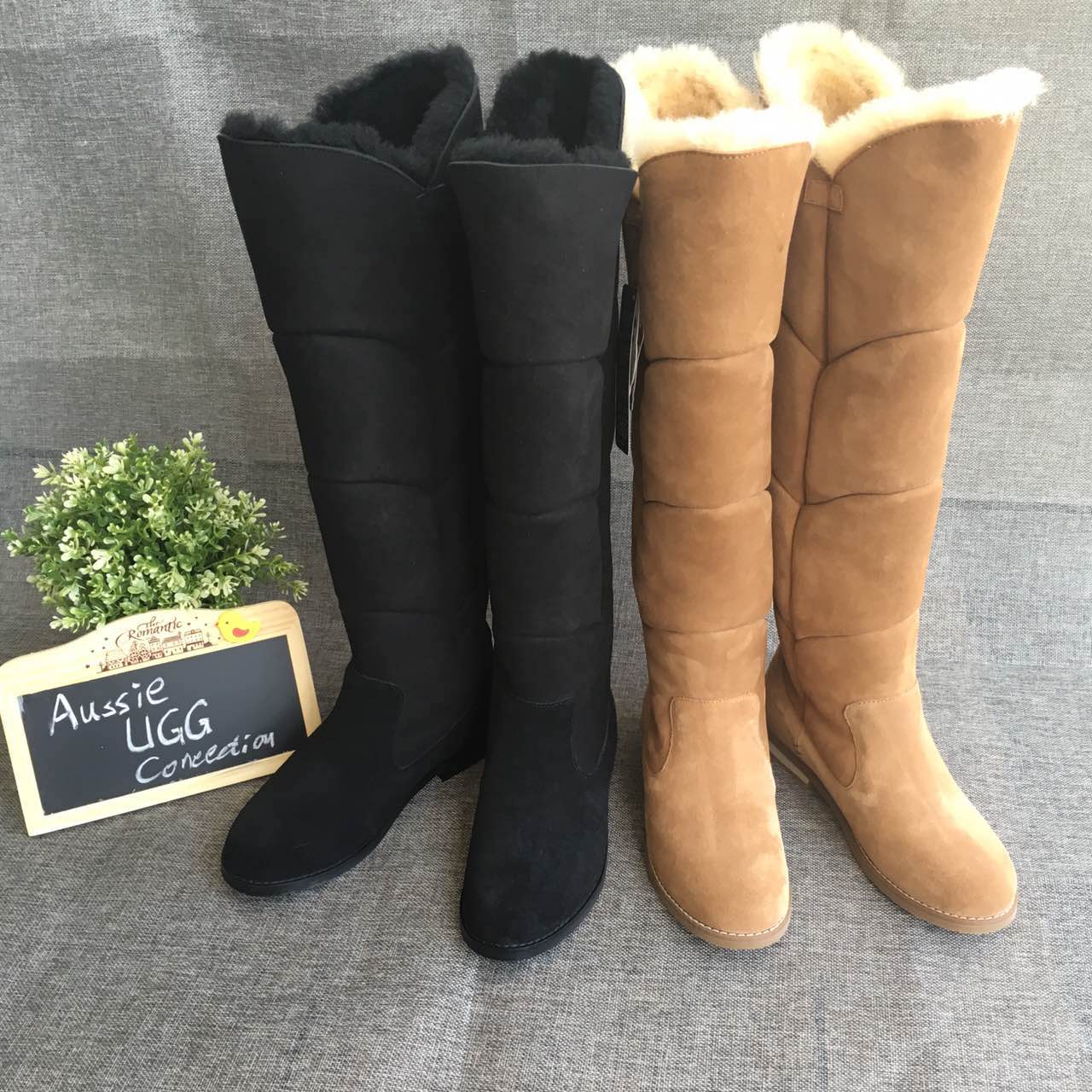 【澳洲仓】【冬款出清】AUSSIE CONNECTION ACGTT 压纹长靴