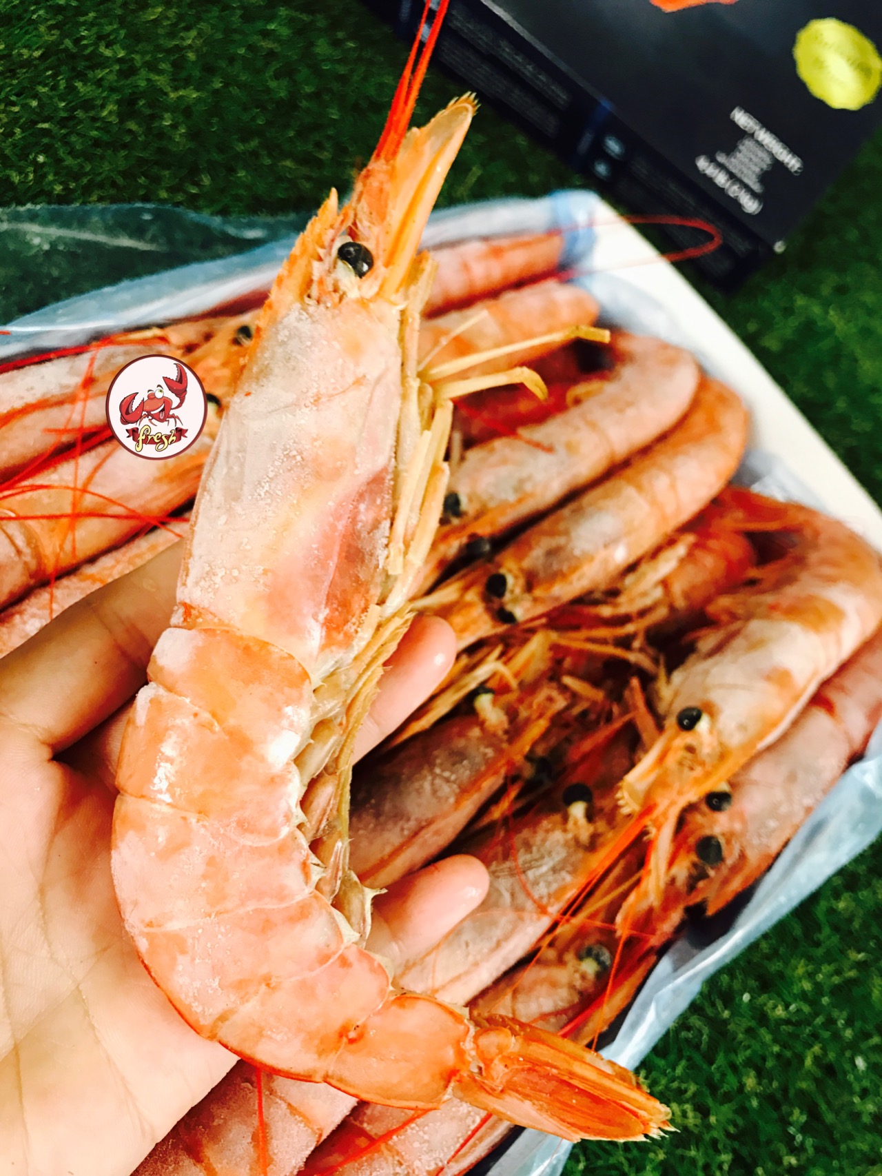 【中国仓】阿根廷红虾 L1号（偏远地区请补拍生鲜偏远地区运费）