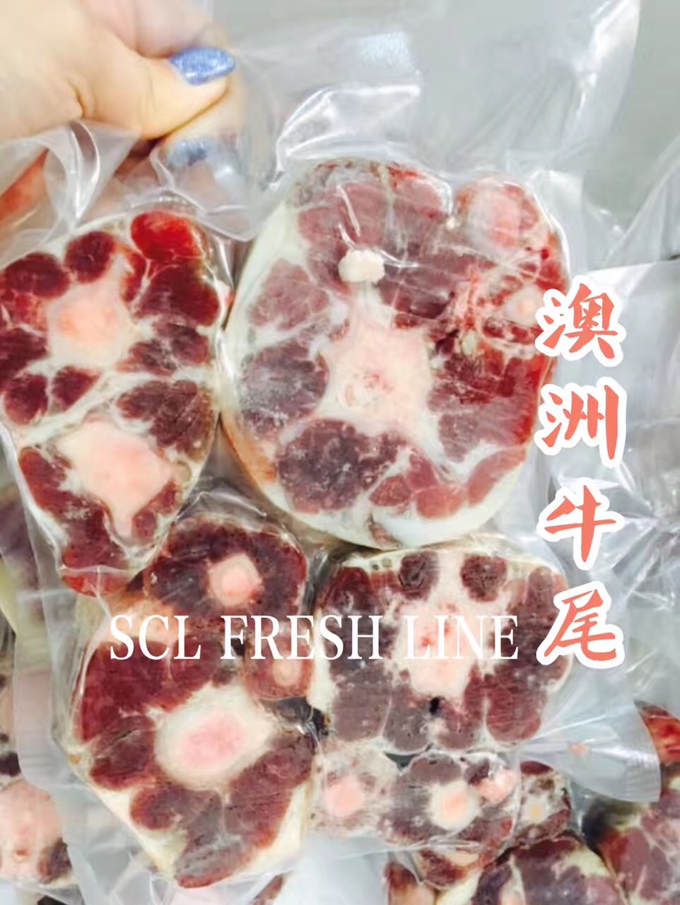 【中国仓】澳洲谷饲牛尾 500g/包*4包（偏远地区请补拍生鲜偏远地区运费）