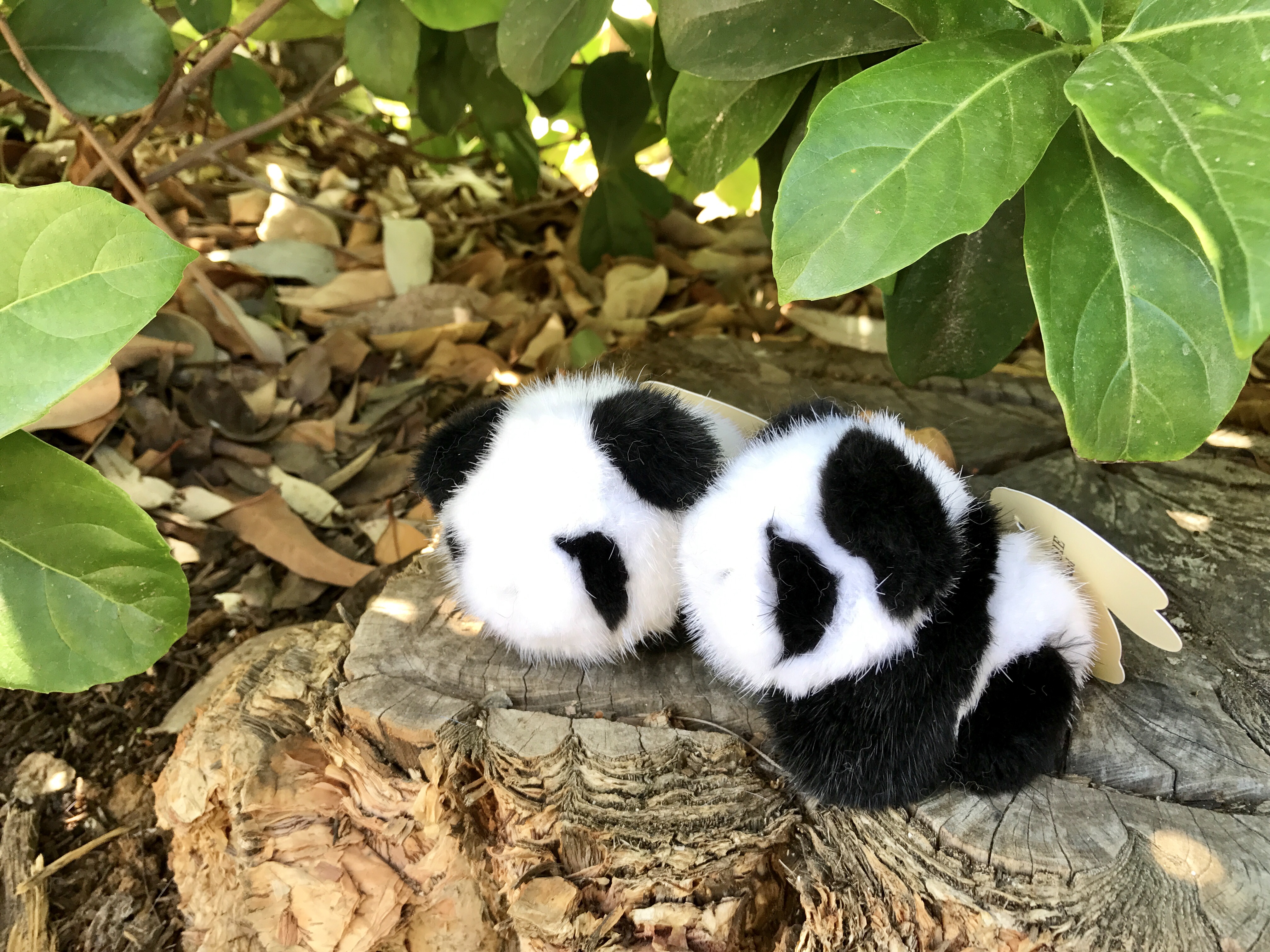 【澳洲仓】LITTLE AUSSIE 纯手工水貂熊猫 泰迪熊 挂饰