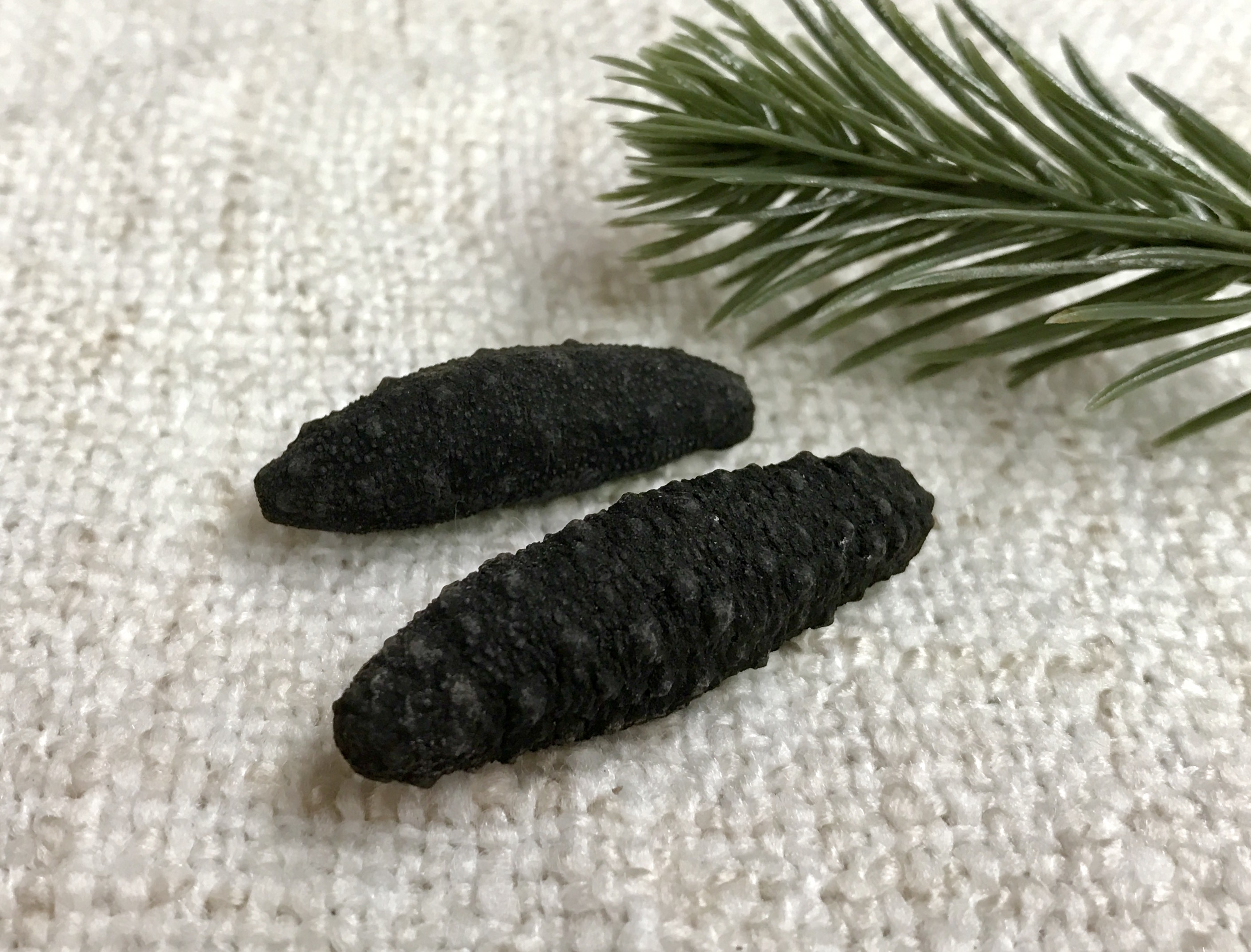 【混合仓】【澳洲直邮】澳洲野生 黑沙参 500克/袋（两种规格）