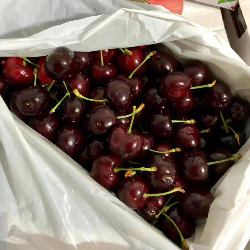 【中国仓】新西兰车厘子 2KG装 1kg/盒*2盒 （偏远地区：新疆 西藏 内蒙古 黑龙江 甘肃 海南 宁夏）