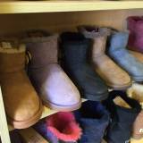 【澳洲仓】OZLAMB UGG D3352C 迷你单扣纯色经典靴