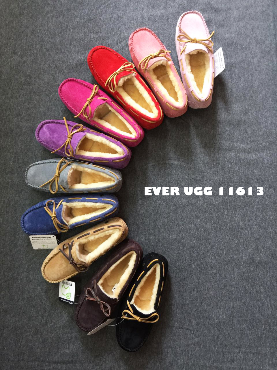 【澳洲仓】【冬款出清】EVER 11613 素色带毛豆豆鞋