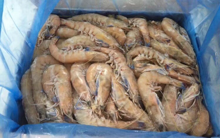【中国仓】澳洲蓝尾国王虾 800g/盒 每盒约30-40只 顺丰包邮