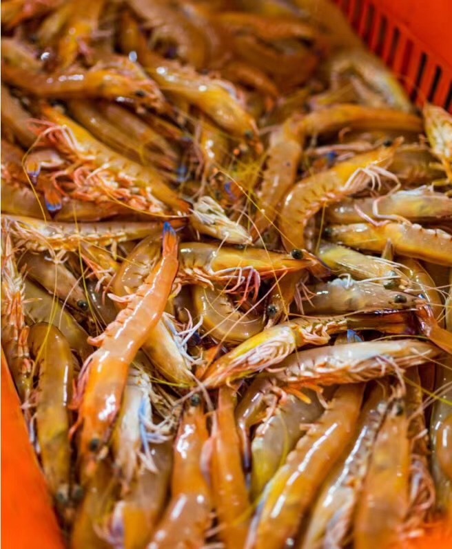 【中国仓】澳洲蓝尾国王虾 800g/盒 每盒约30-40只 顺丰包邮