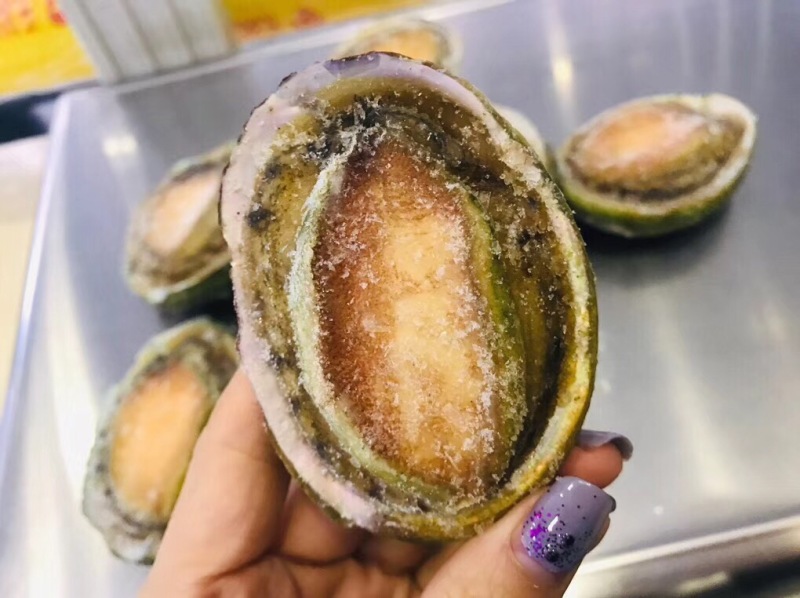 【中国仓】澳洲青边鲍 1kg 约16-18个(偏远地区请补拍生鲜偏远地区