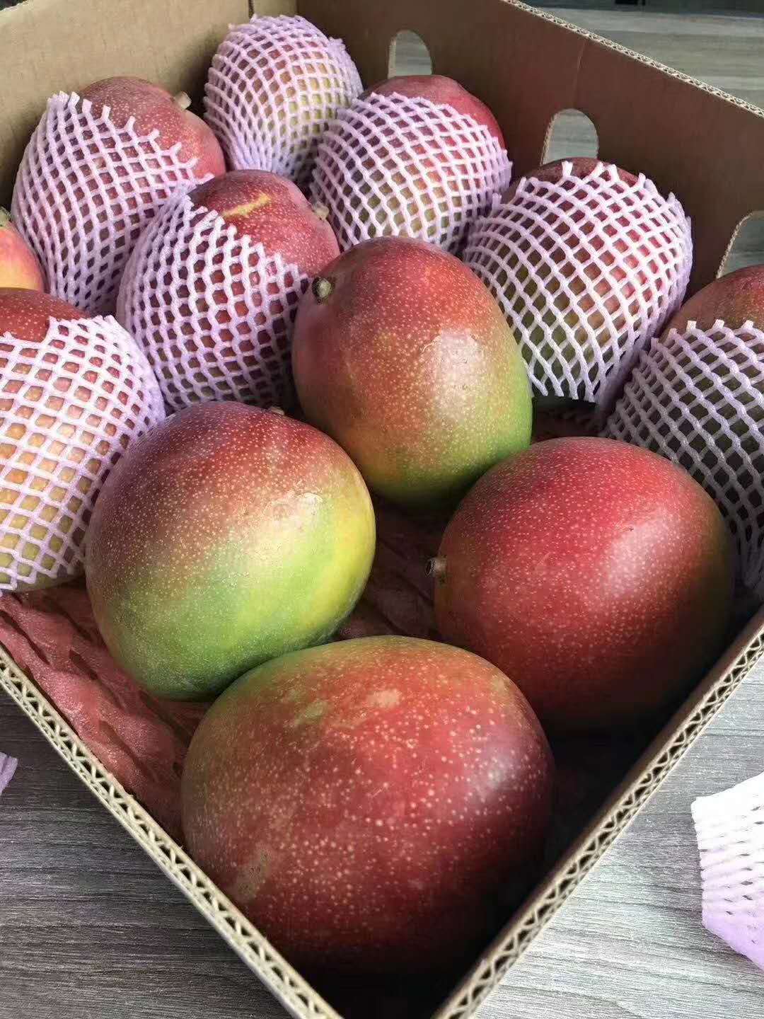 【中国仓】秘鲁太阳芒果(两个规格)顺丰包邮