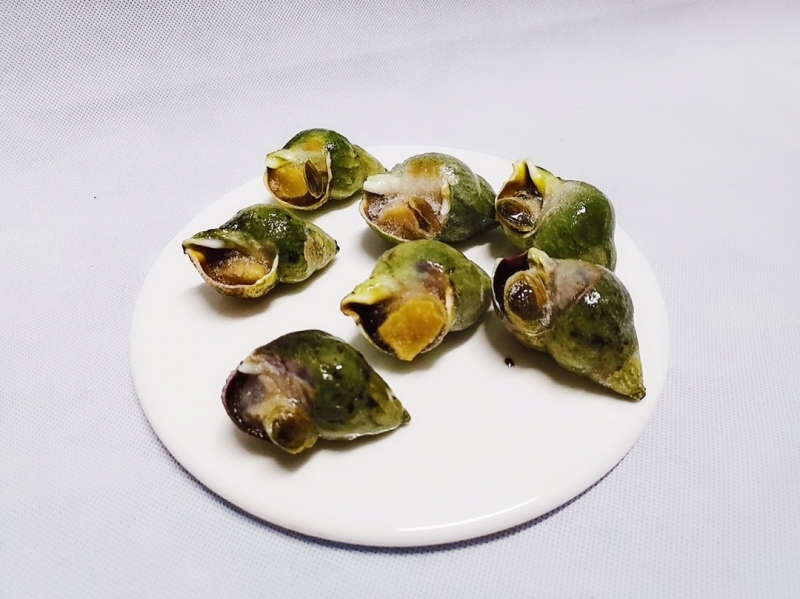 【中国仓仓】加拿大翡翠螺 1000g装 顺丰包邮