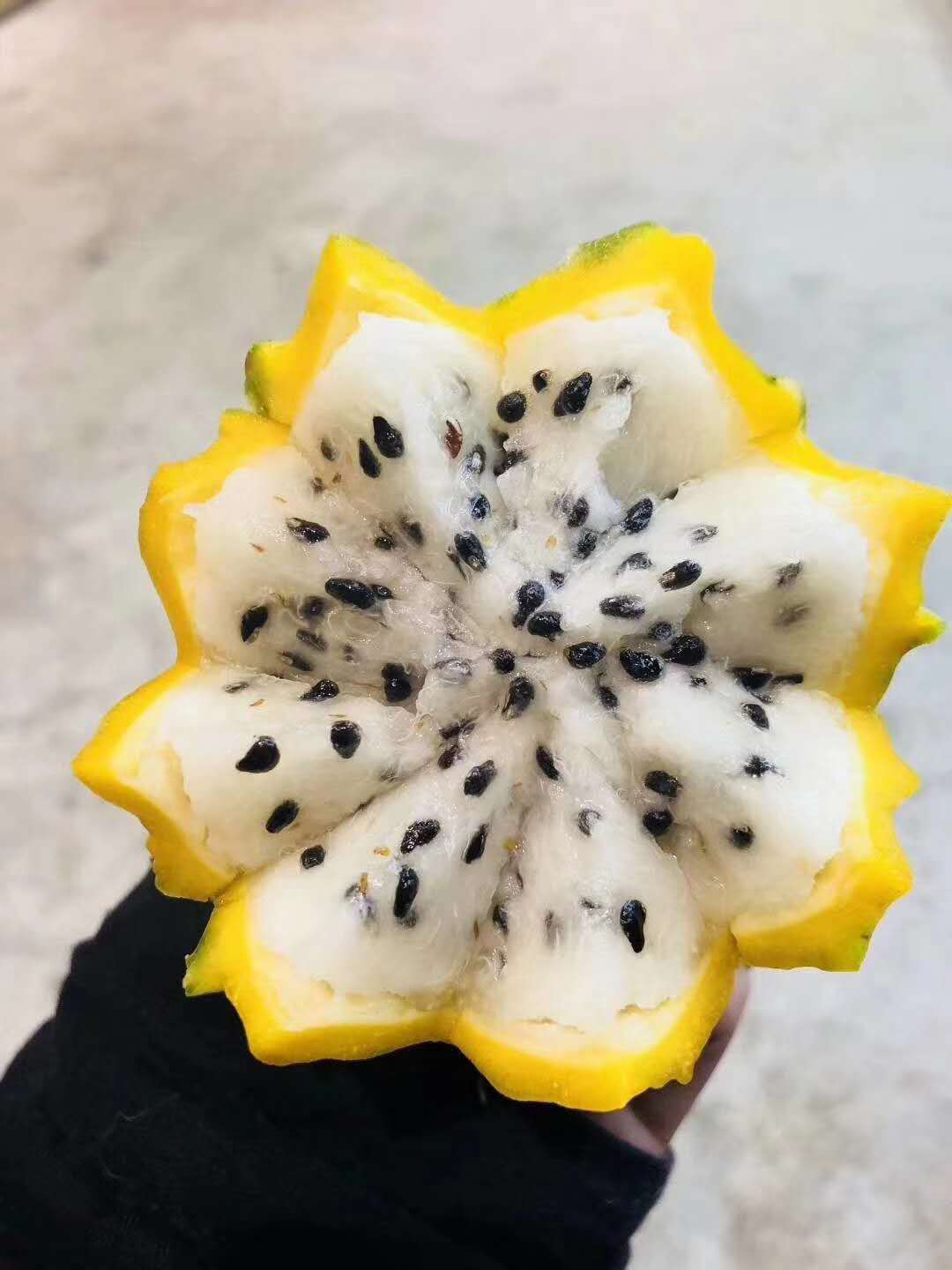 【中国仓】哥伦比亚麒麟果 两个规格 顺丰包邮