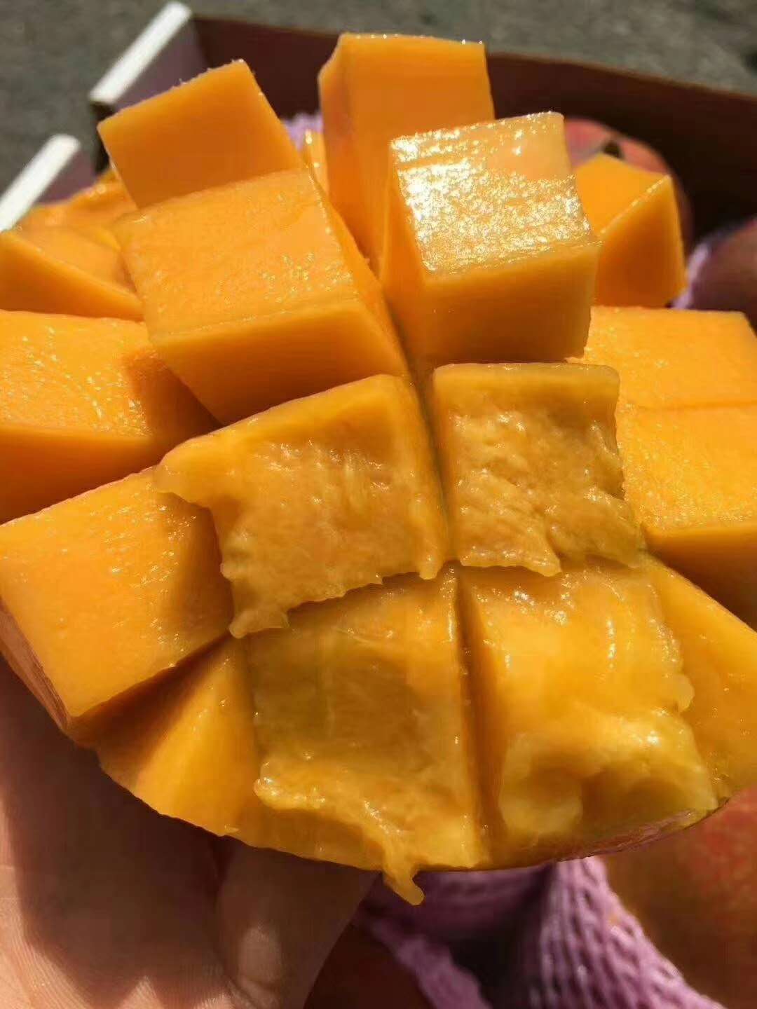 【中国仓】秘鲁太阳芒果(两个规格)顺丰包邮